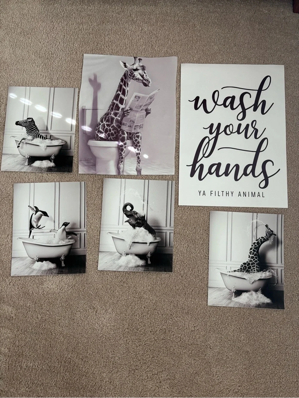 Animal Black & White Wall Art Prints